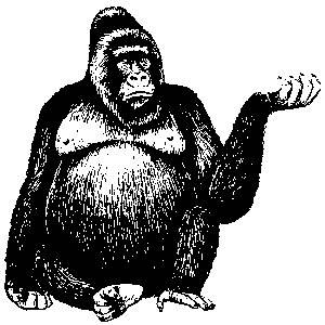 gorilla-black-white.jpg