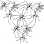 neuronennetz1.png
